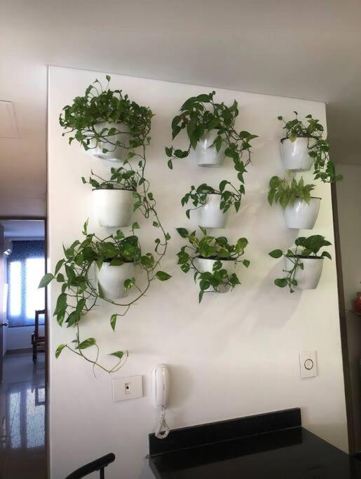 Apartamento Espectacular En Bocagrande